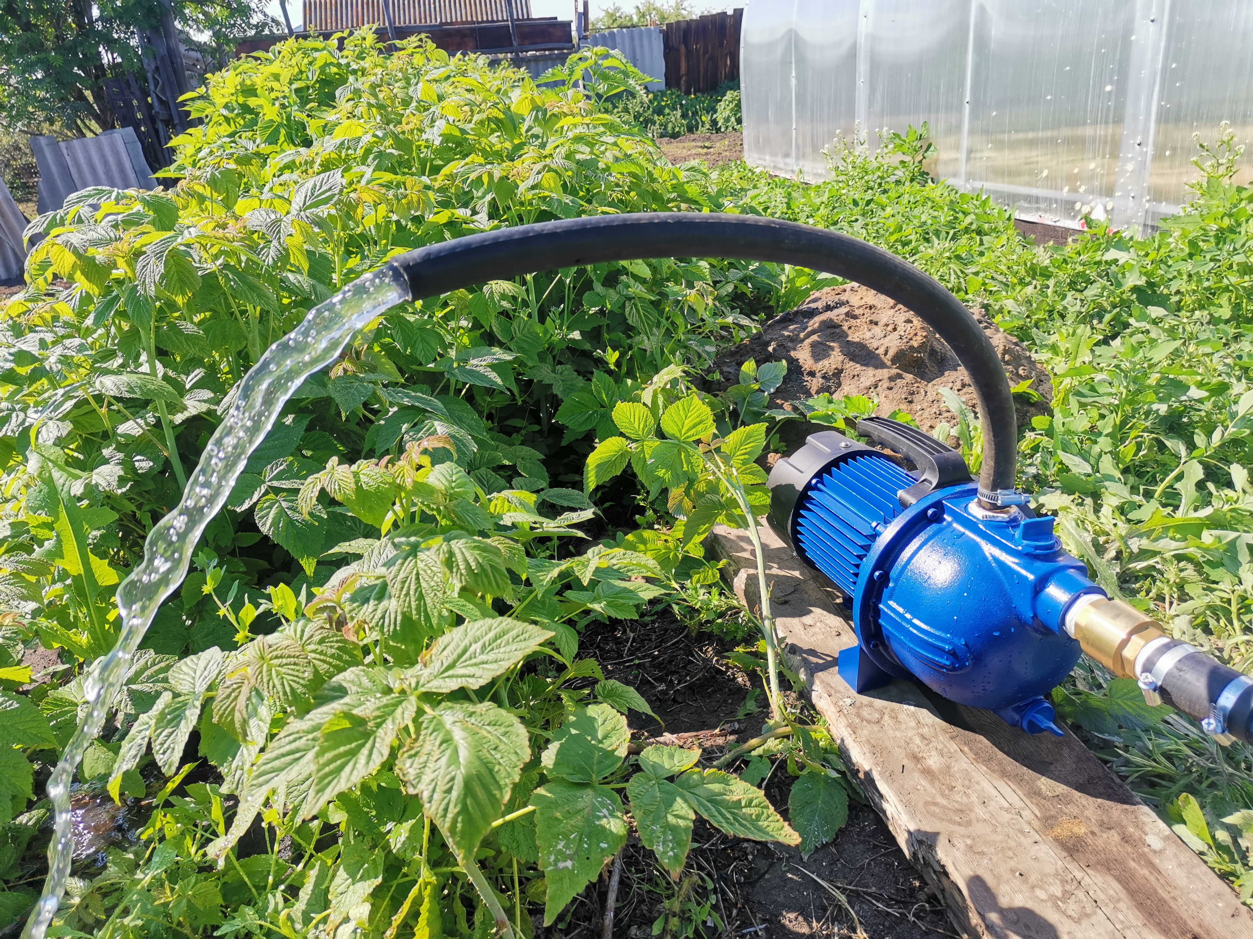 Абиссинская скважина для дачи